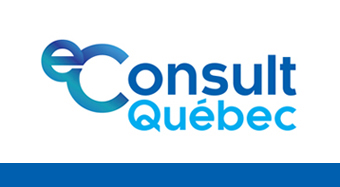 Le conseil numérique